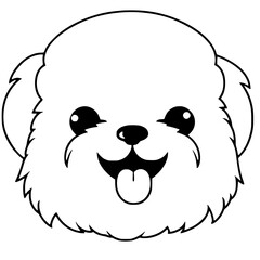 Bichon puppy