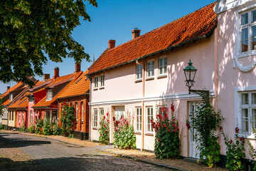 Pretty streets and hollyhocks in bloom in Rønne, Bornholm Island in Denmark - obrazy, fototapety, plakaty