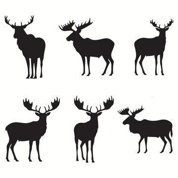 Moose silhouettes and icons. black flat color simple elegant squirrel monkey animal vector and illustration.
