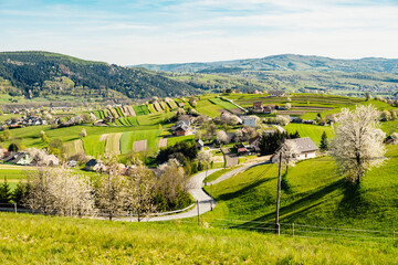 Spring Slovakia landscape. Nature fields with blooming cherries. Unique ecological land management. Polana region, Hrinova, Slovakia Europe. © Zedspider