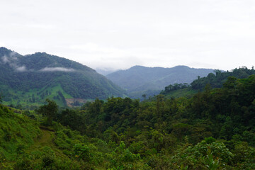 The beautiful Costa Rica Rainforest, waterfalls and blue river in the middle of the jungle 
