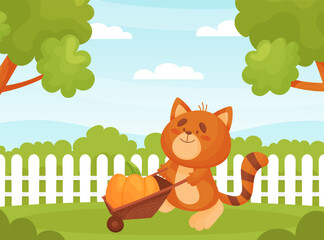 Obraz na płótnie Canvas Funny Cat Push Wheelbarrow with Pumpkin Doing Gardening Vector Illustration
