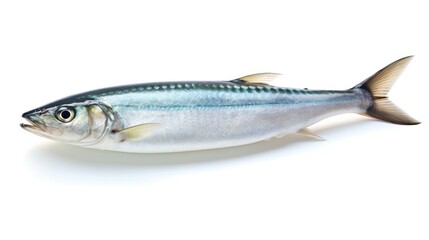 A fresh mackerel fish isolated on white background. Atlantic mackerel fish. Generative Ai