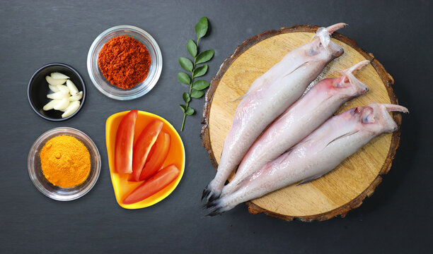 Fresh sea fish Bombay duck or Bombil and ingredients for cooking, green coriander, curry leaves and garlic. black background top view. Copy space