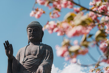 Big Buddha "Ushiku Daibutsu" with sakura in Japan. The largest Buddha statue in the world.