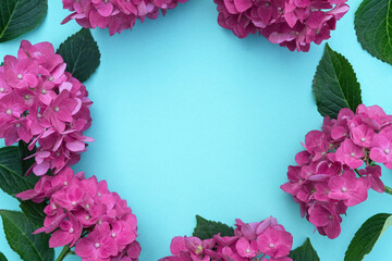 Creative pattern made of pink hydrangea  flowers lying as a round frame on soft blue background. Floral summer composition. Nature concept. Minimal style. Top view. Flat lay, copy space for text.