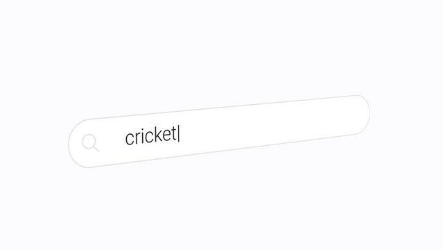 Typing Cricket on the White Search Box