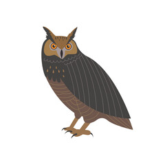 An owl looking straight ahead. Realistic handdrawn style illustration..