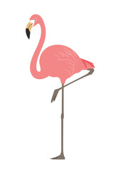 A flamingo standing cross-legged. Realistic hand drawn style illustration.