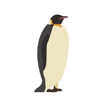 A penguin standing alone. Realistic hand drawn style illustration.