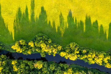 Aerial summer sunny sunset view of nature fields and river in Lithuania