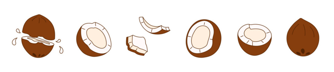 Set of hand-drawn cocos on a transparent background. Isolated vector illustration