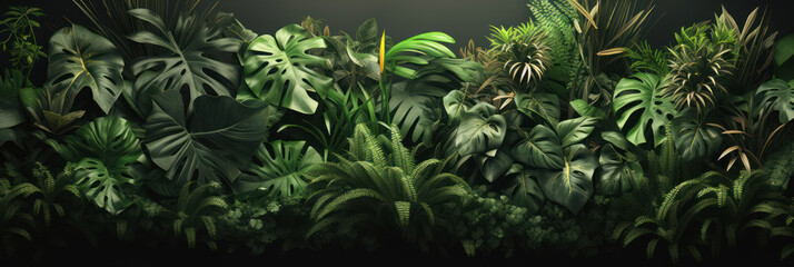 Tropical plants background, Jungle tropic leaves and flower variety, banner