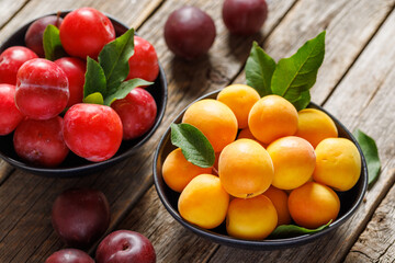 Colorful plums