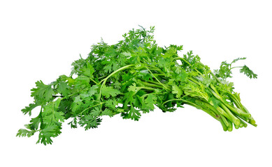 Coriander transparent png