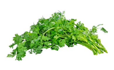 Coriander transparent png