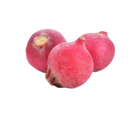 fresh radish transparent png