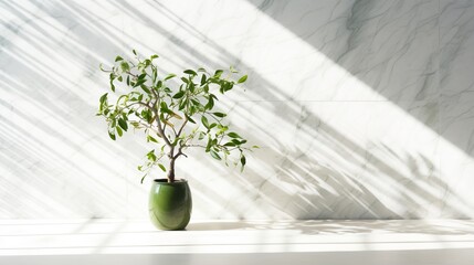 Spring sunlight in green branch of tree with shadow on white marble tile wall, wood table, copy space. generative ai