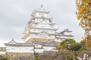 Blooming pink cherry blossom trees at Himeji Castle winter season in Kansai Kyoto Japan