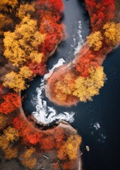 Aerial top drone view from sky to autumn colorful forest and river. Generative Ai.