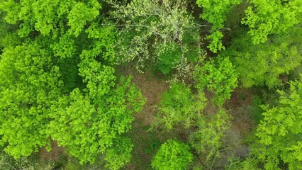 Heritage Park, Pennsauken Township, New Jersey