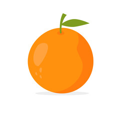 orange fruit illustration