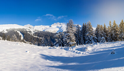 Beautiful winter panorama with fresh powder snow. Landscape with spruce trees, blue sky with sun light and high Alpine mountains on background
