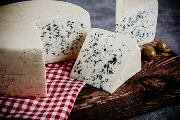 Cheese collection, piece of gorgonzola cheese with blue mold close up