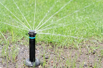 Water spraying out of pop-up sprinkler head - 624281463