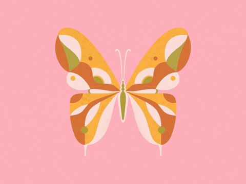 Illustration of Butterfly on Pink Background 
