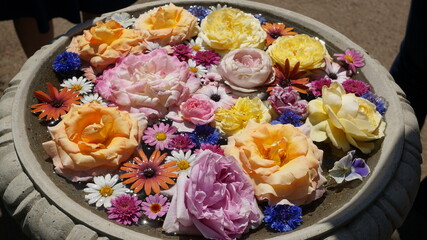 水鉢に浮かぶ薔薇の花