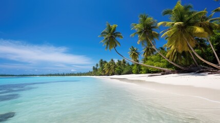 Fototapeta na wymiar clean beach with coconut trees