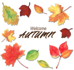 Autumn illustration with fallen leaves painted in watercolor , 수채화로 그린 낙엽이 있는 가을 일러스트