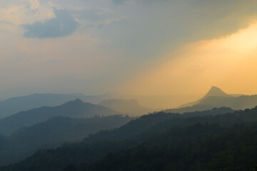 Tea plantations in Munnar, Kerala, India. Beautiful tea plantations landscape at sunset