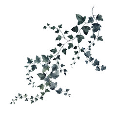 Watercolor bouquet with garde rose, white flowers and greenery branch, leaves isolated on white background