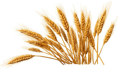 Wheat Ears on Transparent Background. Generative AI - obrazy, fototapety, plakaty