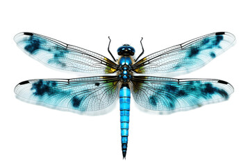 Blue Dragonfly Isolated on Transparent Background. Generative AI - obrazy, fototapety, plakaty