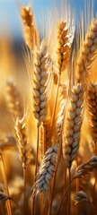 Photo of a close-up of a bunch of wheat .generative ai