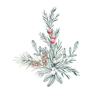 Christmas bouquet of snowberry and emerald spruce branch, pine cone, rosemary twig, fir, cedar. Hand painted watercolor flower illustration for wedding invitation, card