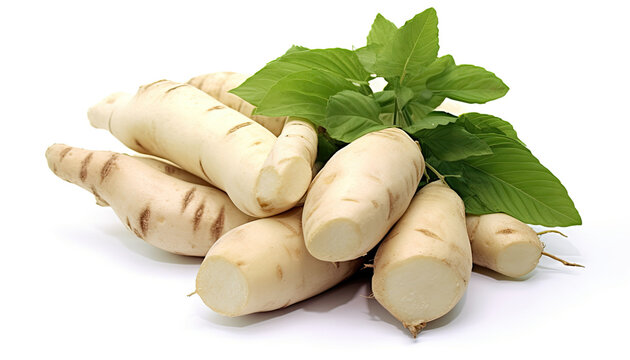 cassava on isolation on white background,generative ai