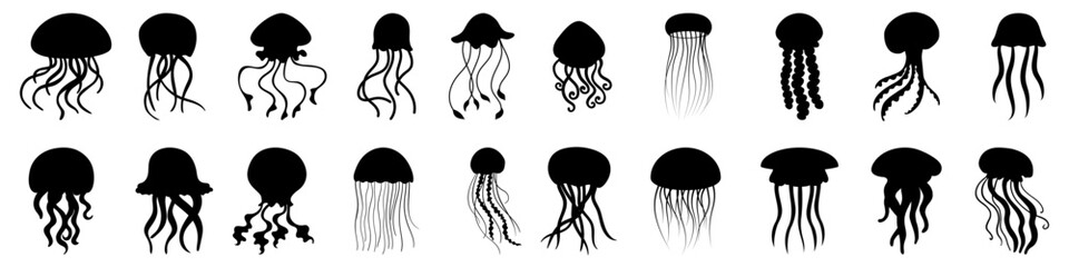 Jellyfish icon vector set. Sea life illustration sign collection. Ocean symbol or logo. © Denys