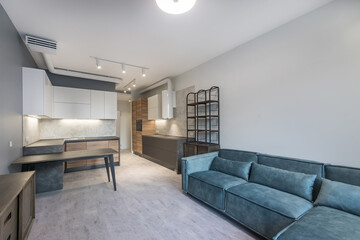 Studio apartment with a modern interior. Blue sofa with pillows, stylish kitchen set .with built-in appliances.