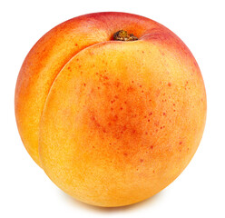 Apricot fruit isolated