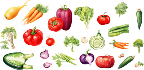 Set of watercolor mixed vegetables Easy to draw, white background