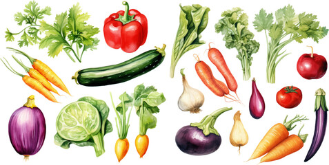 Set of watercolor mixed vegetables Easy to draw, white background