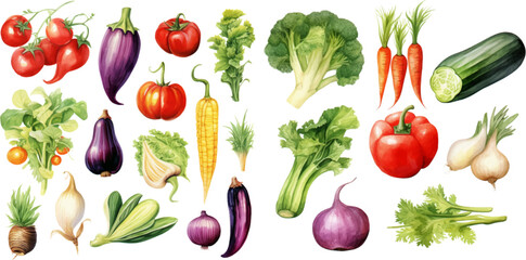 Set of watercolor mixed vegetables Easy to draw, white background