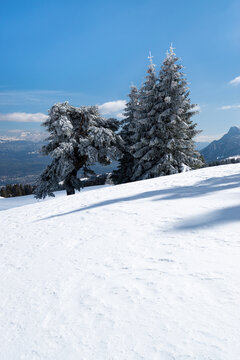 Plateau de Sornin 