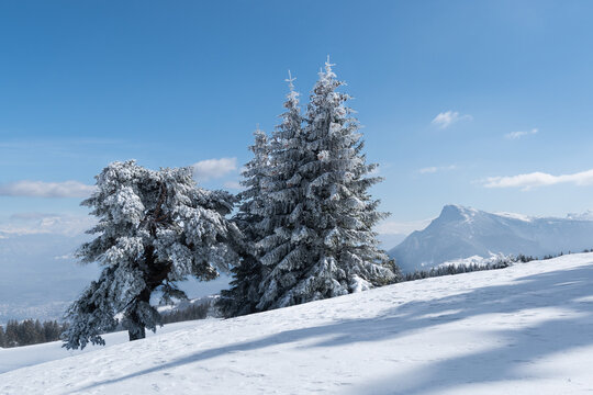 hiver