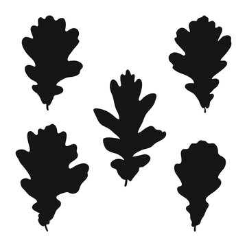 Vector image of black silhouettes of a realistic shape of oak leaves. Seasonal decorative background