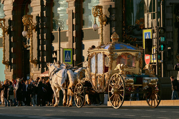 The royal golden carriage harnessed by two white horses rides along the road. Excursion walk on retro transport.